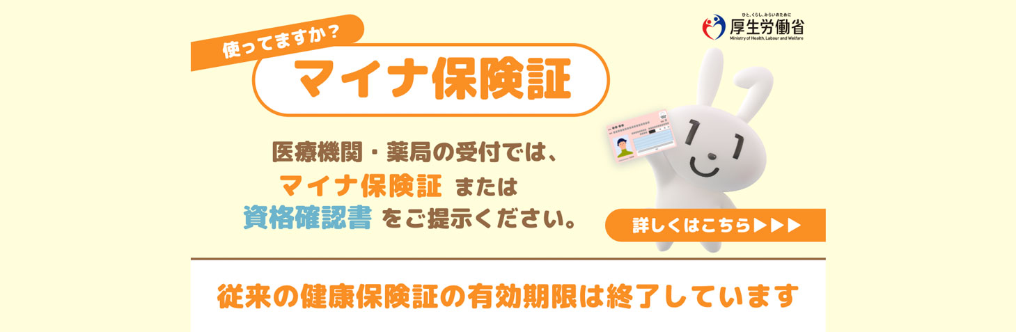 �u�}�C�i�ی��؁v�ɂ���